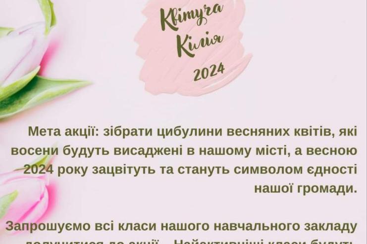 В Кілії навчальний заклад та волонтерський центр оголосили акцію «Квітуча Кілія 2024»